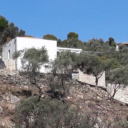 Villa House Λ Moni Evaggelistrias Exterior foto