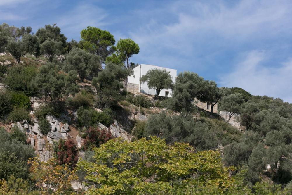 Villa House Λ Moni Evaggelistrias Exterior foto