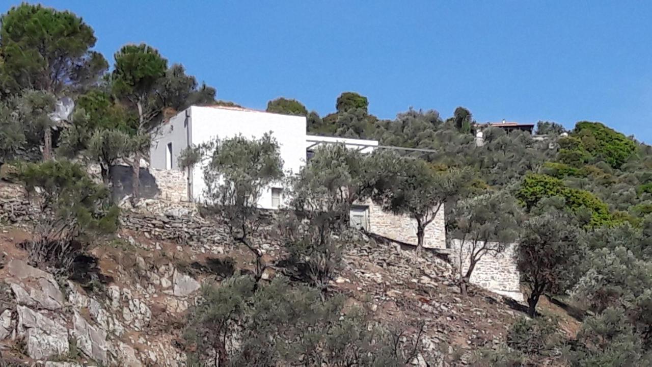 Villa House Λ Moni Evaggelistrias Exterior foto